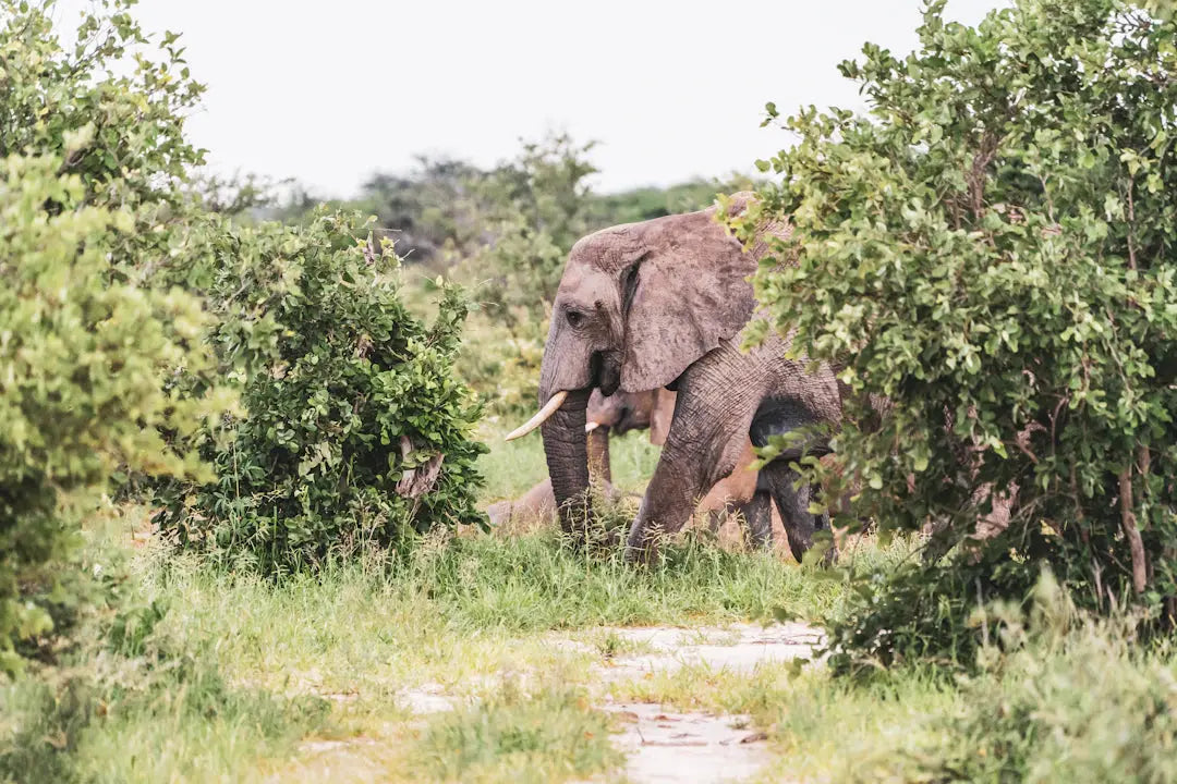 حقق أقصى استفادة من وزنك: الدليل الشامل لضبط توقيت تناول العناصر الغذائية 